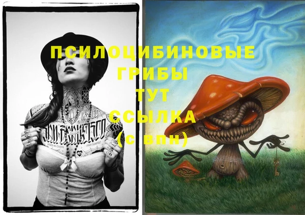 скорость mdpv Аша