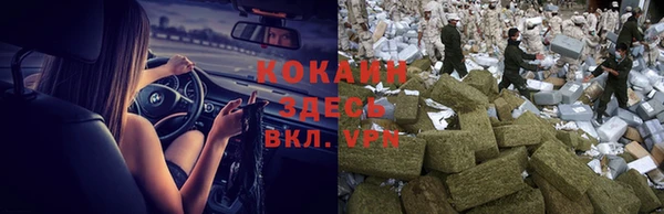 винт Мегион