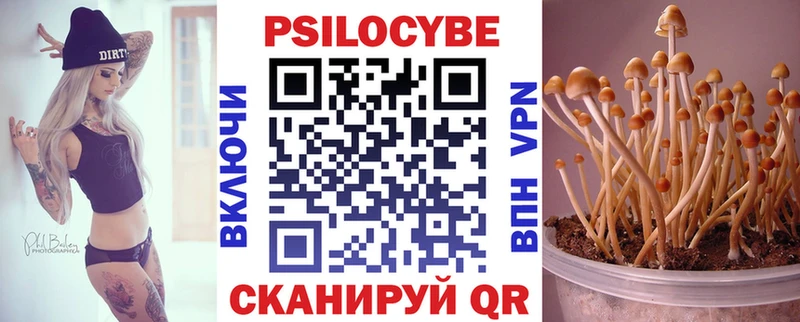 ОМГ ОМГ вход Владикавказ Галлюциногенные грибы мицелий купить наркоту