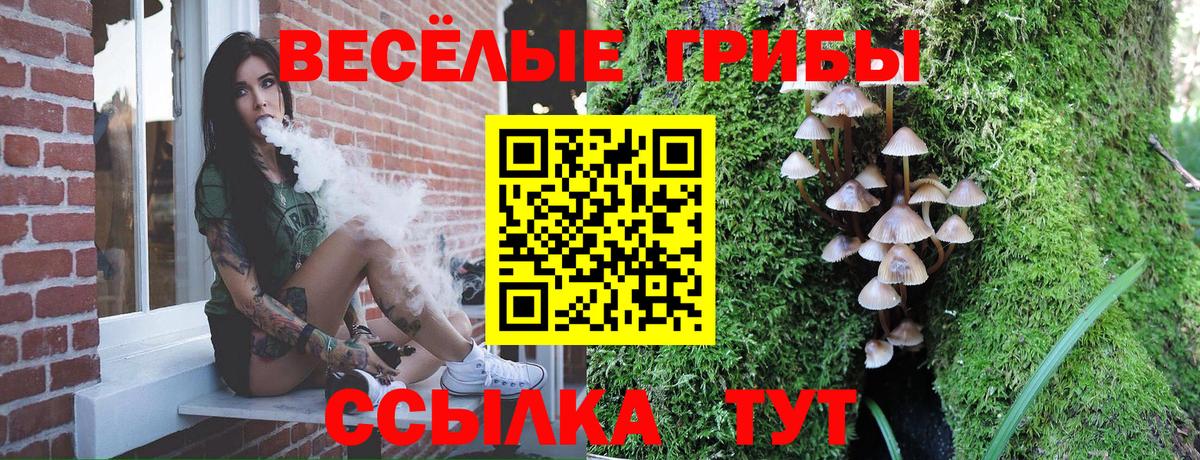 Галлюциногенные грибы Cubensis Владикавказ