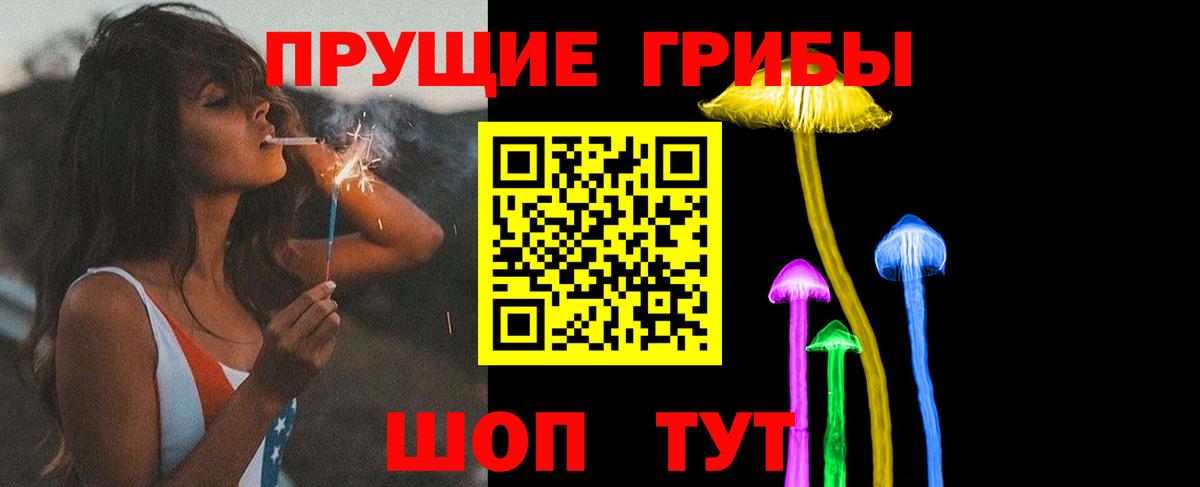 Галлюциногенные грибы GOLDEN TEACHER  Владикавказ 