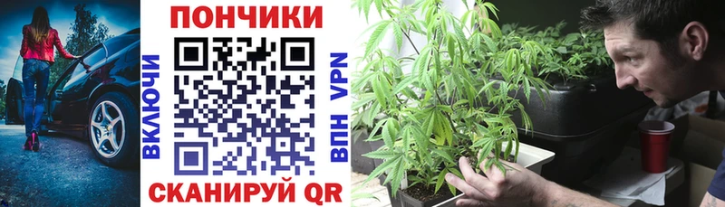 где купить наркоту  Владикавказ  Каннабис Ganja 